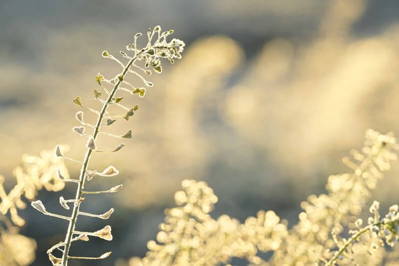 Thumbnail of post image 191