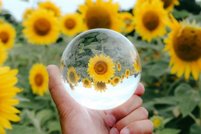 Thumbnail of post image 080