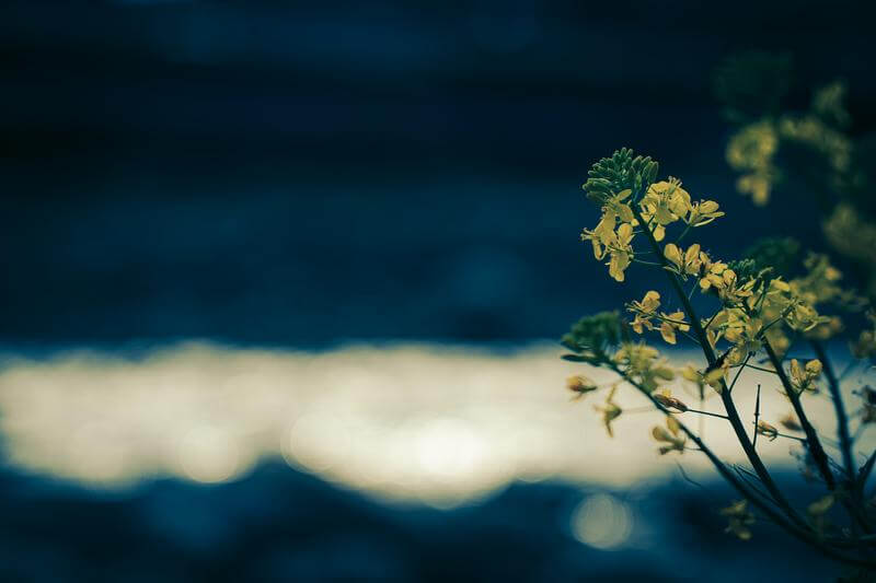 Thumbnail of post image 029